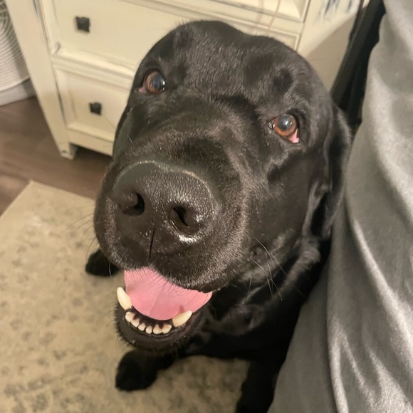 A little about 𝓜𝓔 💕💞 - Picture 4 of 15